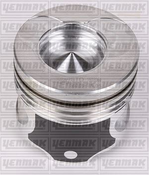 MOTOR PİSTON SEGMAN STD 76.00 25PİM CLIO-KANGOO-SYMBOL 1.5 DCI 4 Adet