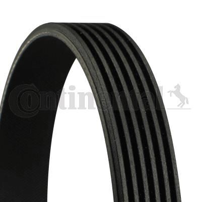 KANALLI KAYIS MERCEDES W124 W202 W203 CL203 S212 W140 W166 W463 B901>B904