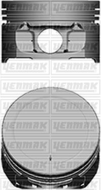 MOTOR PİSTON SEGMAN STD P106-P206-P306-P307-P308-PARTNER-BERLINGO-C2-C3-C4-XSARA TU5JP4 1.6 16V TEPE YÜK 0.15 MM 109 KW 4 Adet