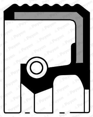 KRANK ARKA KEÇESİ R9-R11-R19-R12 TOROS-CLIO-MGN-SCENIC-KNG-TWNG 80x100x8