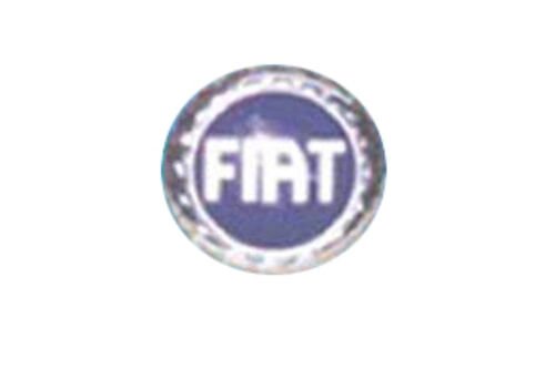 PANJUR ÇELENK ARMA CİVATALI DOBLO 03-06 E.M. 75mm