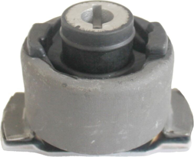 TORSİYON TAKOZU SOL LAGUNA II 01> 2 Adet