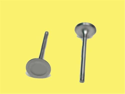 SUBAP EMME EGZOZ ESCORT CL 1.6 8V IN-4/EX-4 90>98