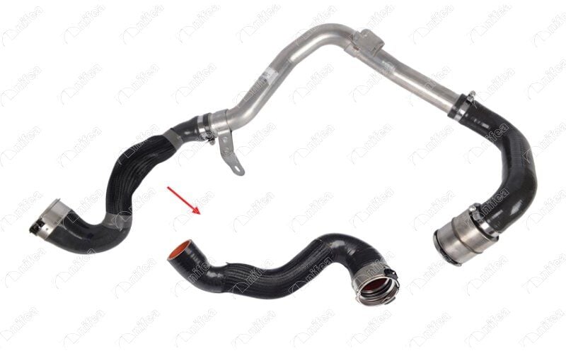 TURBO HORTUMU METAL BORU HARİÇ OK İLE GÖSTERİLEN BÜYÜK HORTUM MASTER 3-MOVANO B 144605171R-144606964R-95524032-1446300Q2K