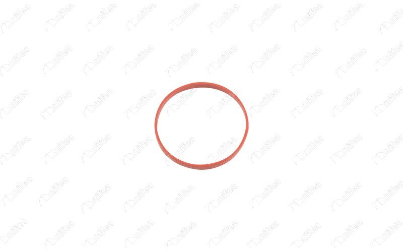 EMME MANIFOLD CONTASI BMW B37 B38 B47 F20 F21 F22 F40 F70 F23 F44 F45 F46 F74 F30 F31 F34 F35 G20 G2 1 G28 F32 F33 F36 G22 G23 G26 F10 F11 G30 G31 G32 G11 G12 F48 F49 F25 G01 F26 G02 F15 G05 5 Adet
