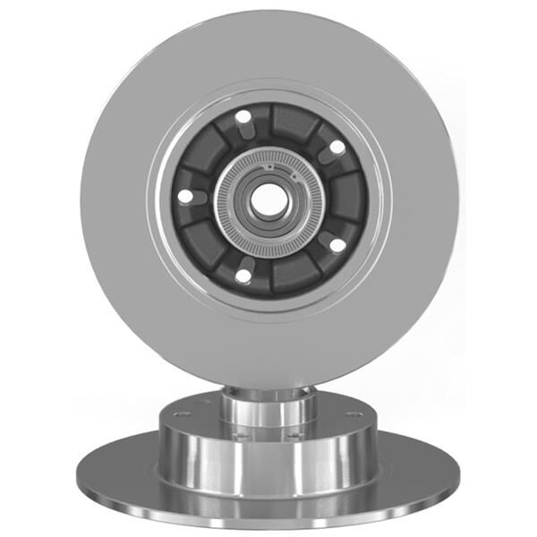 ARKA FREN AYNASI RULMANLI RENAULT MEGANE III 09> FLUENCE 09> CLIO IV 12> SCENIC III 09> 260x8x5DELİK